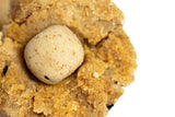 Fermenticum Dough 1kg